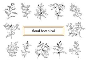 conjunto botánico dibujado a mano hojas y flores para la decoración. vector