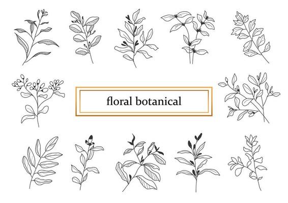 Hand drawn botanical set leaves and flowers for decoration.