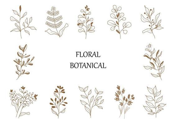 Hand drawn botanical set leaves and flowers for decoration.