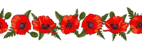 Horizontal seamless border with hand drawn red poppy flowers isolated on white background. Vector illustration.