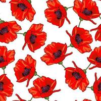 Seamless pattern with hand drawn wild red poppy flowers isolated on white background. Design element for textile, fabrics, wrapping paper or wallpapers. Vector illustration.