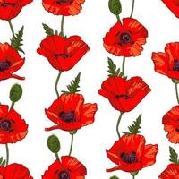 Seamless pattern with hand drawn wild red poppy flowers isolated on white background. Design element for textile, fabrics, wrapping paper or wallpapers. Vector illustration.