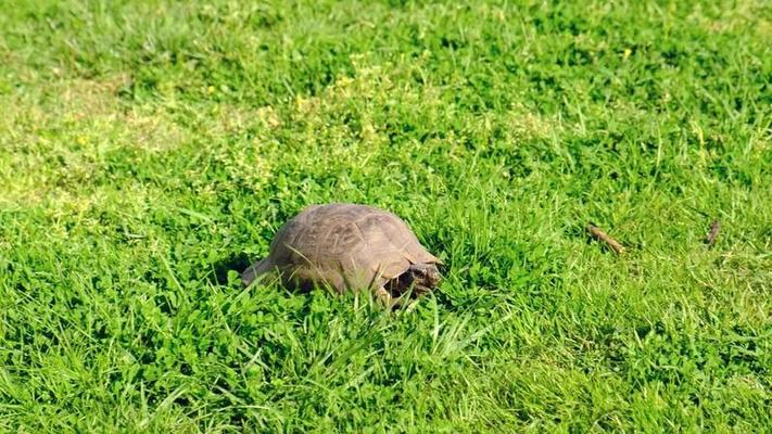 動物園影片