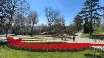 Emirgan,istanbul,Turkey.April 20,2022.Istanbul Tulip Festival. Festival held in parks and groves in Istanbul with the theme of tulip season. Tulip festival views from Emirgan grove in Istanbul video