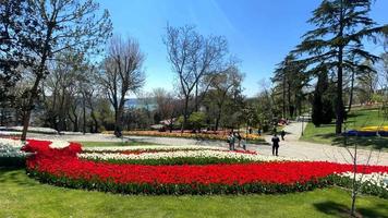 Emirgan,istanbul,Turkey.April 20,2022.Istanbul Tulip Festival. Festival held in parks and groves in Istanbul with the theme of tulip season. Tulip festival views from Emirgan grove in Istanbul video