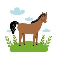 Cute brown horse stands in a meadow. Cartoon farm animals, agriculture, rustic. Simple vector flat illustration on white background with blue clouds and green grass.