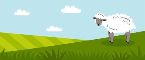 A cute white sheep stands on a green meadow. Farm animals. Summer panorama with a field. Place for your text. Flat cartoon color illustration vector