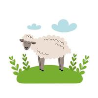 Cute gray sheep stands in the meadow. Cartoon farm animals, agriculture, rustic. Simple vector flat illustration on white background with blue clouds and green grass.