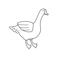Cute contour doodle goose. Goose liver, foie gras. Farm animals and birds.Illustration for childrens coloring book. Vector isolated on white background