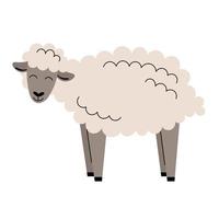 Cute sheep . Cartoon farm animals. Simple vector flat