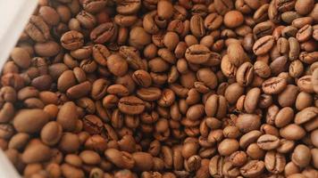 slow motion panorering visa rå bruna kaffebönor närbild på displayen video