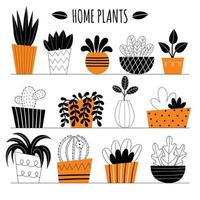 conjunto de diez plantas interiores vectoriales. flores en macetas en los estantes. plantas caseras estilizadas. decoración del hogar e interiorismo. suculentas, monstera, cactus. ilustración aislada sobre fondo blanco. vector