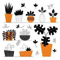 conjunto de diez plantas interiores vectoriales. flores en macetas en los estantes. plantas caseras estilizadas. decoración del hogar e interiorismo. suculentas, monstera, cactus. ilustración aislada sobre fondo blanco. vector