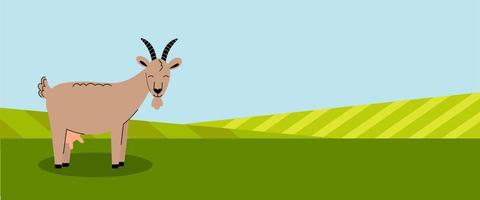 A cute goat stands on a green meadow. Milk products. Farm animals. Summer panorama with a field. Place for your text. Flat cartoon color illustration vector