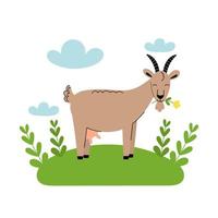 Cute goat with a flower standing in the meadow. Cartoon farm animals, agriculture, rustic. Simple vector flat illustration on a white background with blue clouds and green grass.