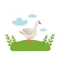 Cute white goose stands in the meadow. Cartoon farm animals, agriculture, rustic. Simple vector flat illustration on white background with blue clouds and green grass.