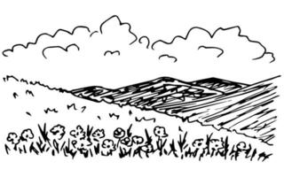 dibujo de tinta vectorial simple en estilo de grabado. paisaje de verano, flores en primer plano, la silueta de las montañas en el horizonte, nubes, colinas, naturaleza, estribaciones floridas. vector