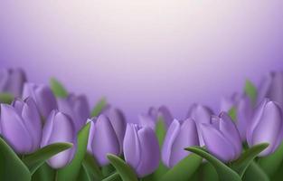 flores de tulipán 3d realistas sobre fondo púrpura. ilustración vectorial vector