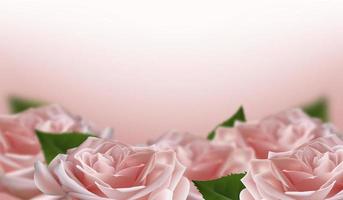 flores de rosa 3d rosadas realistas sobre fondo blanco. ilustración vectorial vector