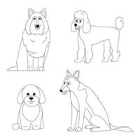 Maltipoo, shepherd, poodle and collie dogs colouring page. Outline vector illustration
