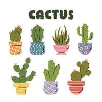 Vector set of colorful cactus plants in colored pots with outlines.