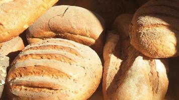 Bakehouse. Rows of fresh crusty bread loafs lying on the shelf.Baking bread process. Food industry and production. Close-up shot various loaf breads on display in sun video