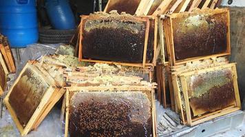 material de madera después de la extracción de abejas dentro de la vista panorámica del vehículo. Proceso y negocio de producción de miel de abeja.