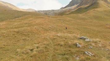 Female hiker alone walks up the path in scenic KAzbegi mountains surrounded by greenery.Travel and recreational actvities video