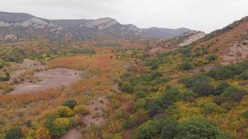 Aerial view of autumn color landscape flora in Georgia caucasus mountains wilderness. video