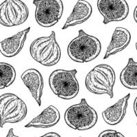 Figs seamless vector pattern. Ripe garden fruits whole, half, slice. Sketch of summer dessert with tasty pulp, seeds. Monochrome outline of exotic plant. Hand drawn botanical background