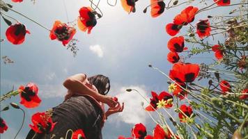 joven soñadora sostiene un ángulo bajo de flor de amapola rodeado de campo de amapola y fondo de cielo azul. Bienestar y sentirse libre y feliz, disparo de naturaleza optimista. video