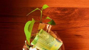 Paper euro notes in transparent bowl with leaf growing inside. Growing trees and world energy resources icon. Earth day. Energy saving concept, Renewable energy and energy sources of the world video