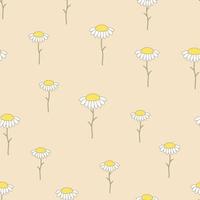 Cute seamless pattern with white chamomiles on a pastel beige vector