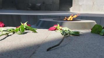 Red rose flowers on ground by eternal fire on armenian genocide memorial museum in Yerevan, capital Armenia. Famous public landmark sightseeing and solidarity concept video