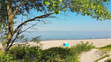 vue panoramique paysage typique de la côte de la mer baltique vue sur la plage en lituanie. ciel bleu sans nuages, petites vagues dans la mer et dunes de sable partiellement recouvertes de carex video