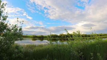 Timelapse lake in lithuania countryside with pristine greenery in spring. video