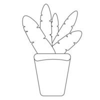 Black and white hand drawn houseplant.Poster.banner,label. Vector isolated.