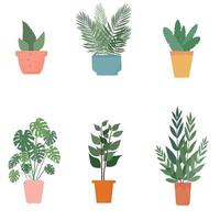 Set of indoor plants in flower pots. Vector illustration, isolated.