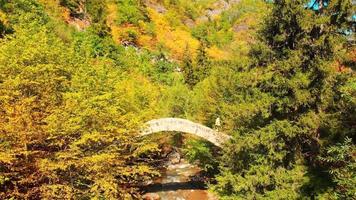 Female person walks on beautiful arch bridge in sunny autumn day and golden nature video
