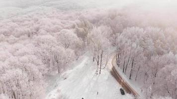 inclinação aérea para baixo vista pessoa esperando no inverno frio na floresta sozinho com paisagem de neve.