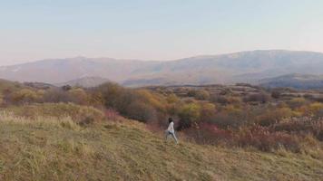 una persona femenina camina en un campo de pradera rodeado de un paisaje natural otoñal. concepto de relajación y paseos por la naturaleza video