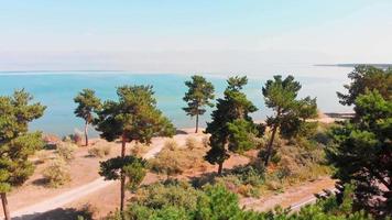 zoom aérien vue panoramique sur le lac sevan avec pins et plage en journée d'été ensoleillée. destination de vacances arménie video