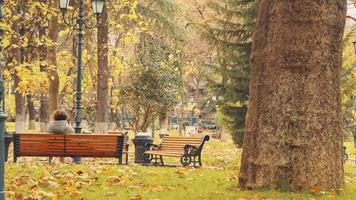 Statische Rückansicht Frau sitzt auf Bank im Park an bewölktem Tag nachdenklich umgeben von herbstlicher Natur video