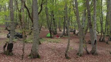 Aerial view of female person by the fire alone camping outdoors with tent and car standing. Singlehood and human well being concept video