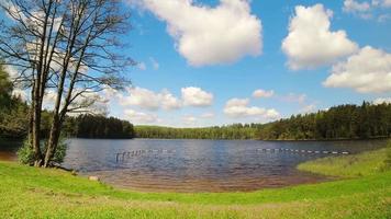 Sunny pristine tranquil Lithuania nature Geluva lake landscape zoom in view timelapse video