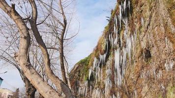 Static view ice spikes on cascade melts surrounded by green nature,tree and blue sky background. Springtime concept video