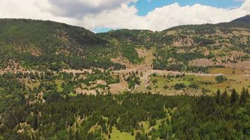 Aerial panoramic view of pine forests and nature in north georgia caucasus mountains. Travel in Svaneti video