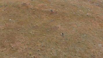Aerial view of person walking in meadow area with tents standing in background. Group hiking tour concept video