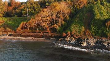 zoom aérien vue flore pittoresque de la côte de la mer noire avec un bord de mer calme au coucher du soleil en automne. tsikhisdziri et plage de kobeleti en géorgie video