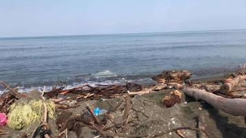 vista panorámica de la playa con madera y basura del mar después de la tormenta.